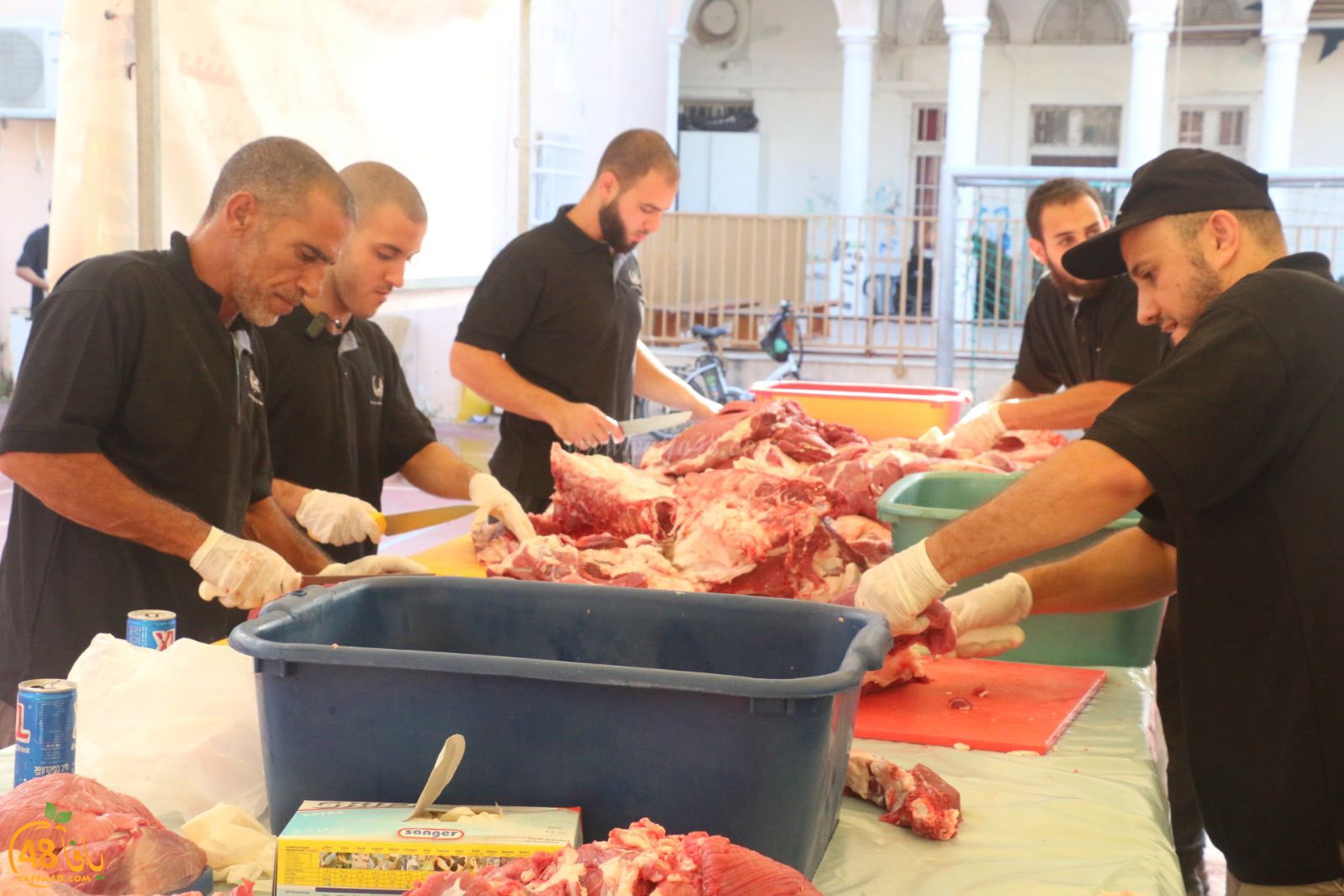 lo7om jam3iya u3 (34).jpg